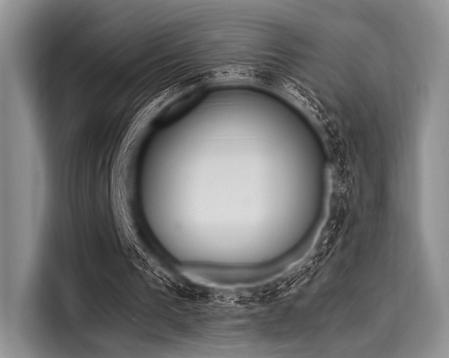 X0000116110193200911301130