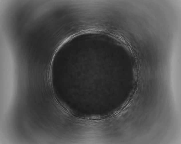 X0000116110196200911301130