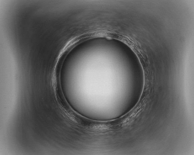 X0000116110198200911301129