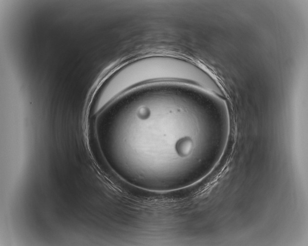 X0000116110199200911301129