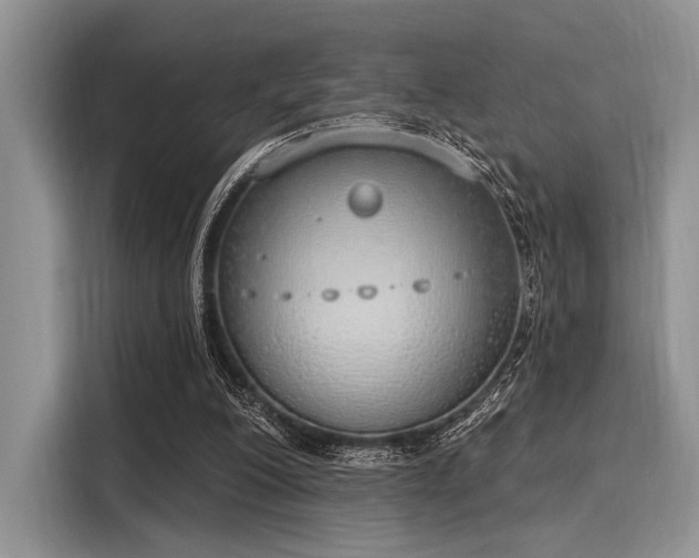 X0000116110200200911301129