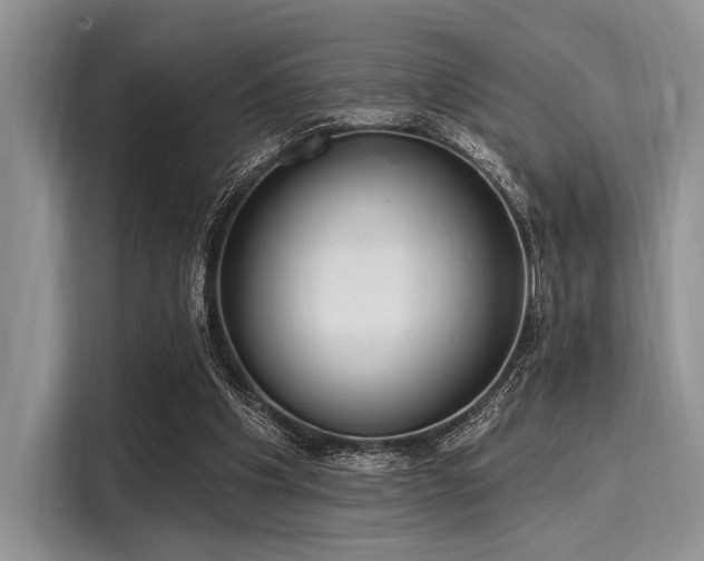 X0000116110201200911301129