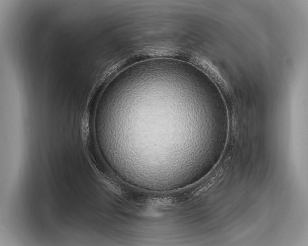 X0000116110202200911301129