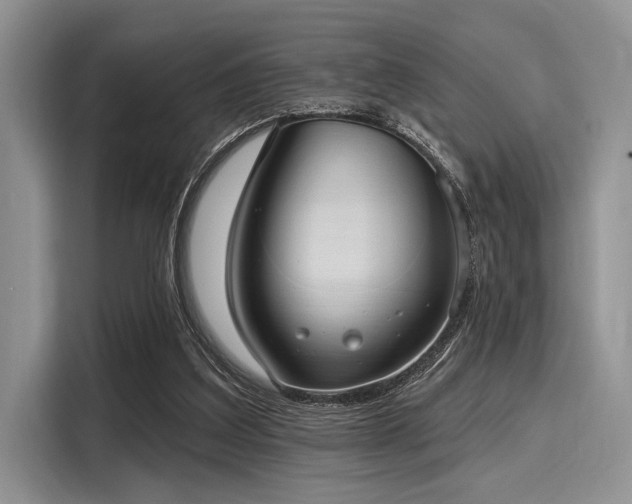 X0000116110203200911301129