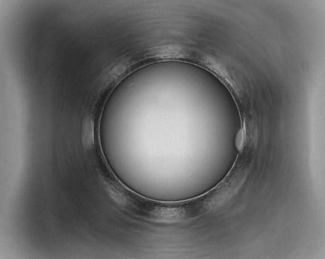 X0000116110205200911301129