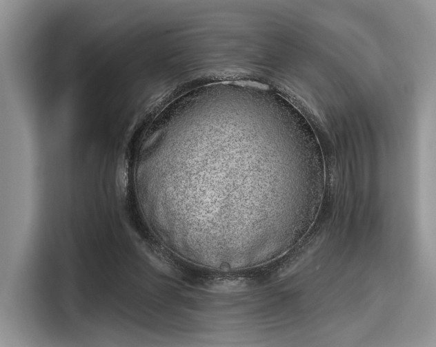 X0000116110206200911301129