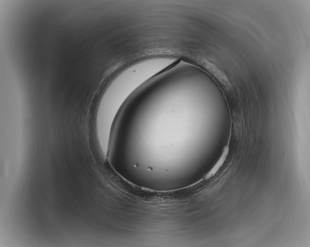 X0000116110207200911301129