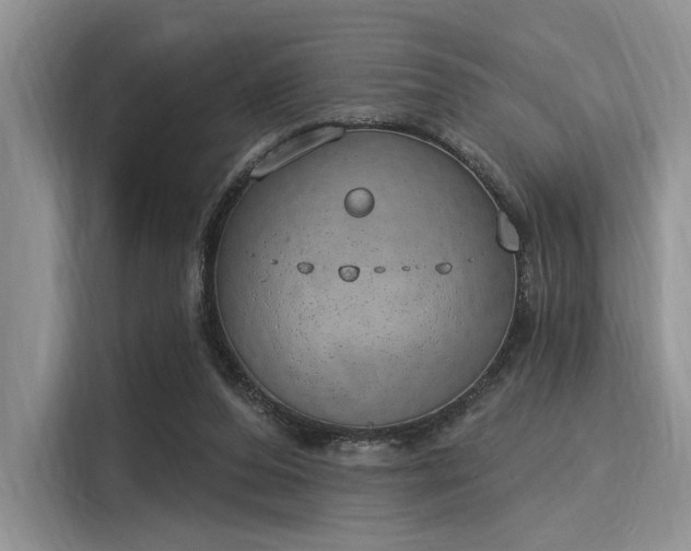 X0000116110208200911301129