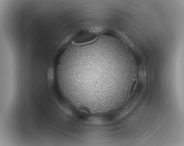 X0000116110211200911301129