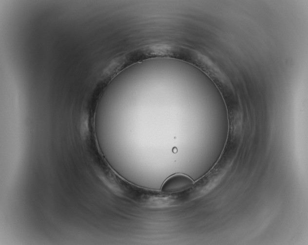 X0000116110213200911301129