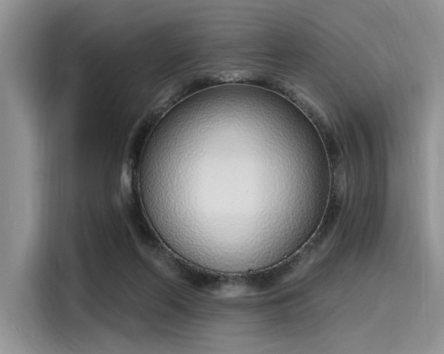 X0000116110214200911301129