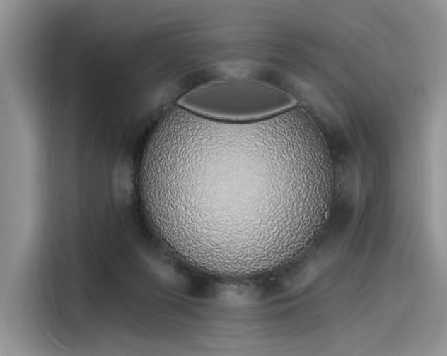 X0000116110215200911301129