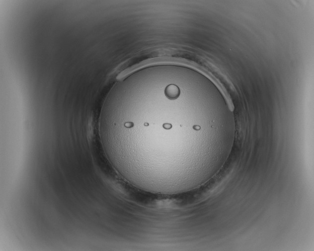 X0000116110216200911301129