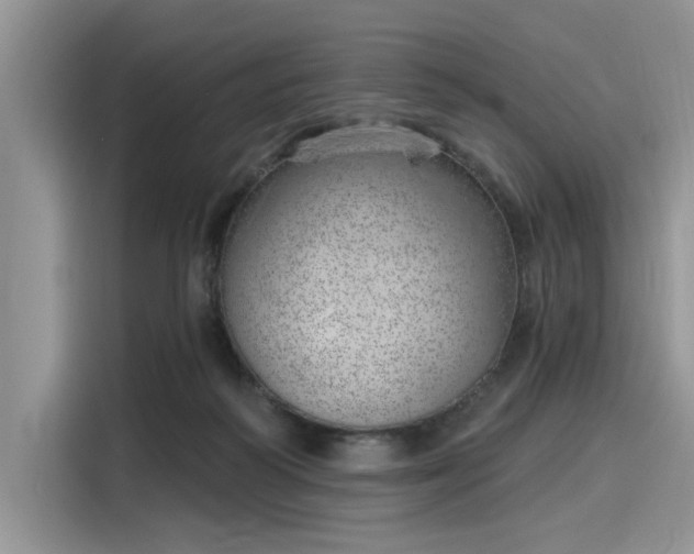 X0000116110218200911301129