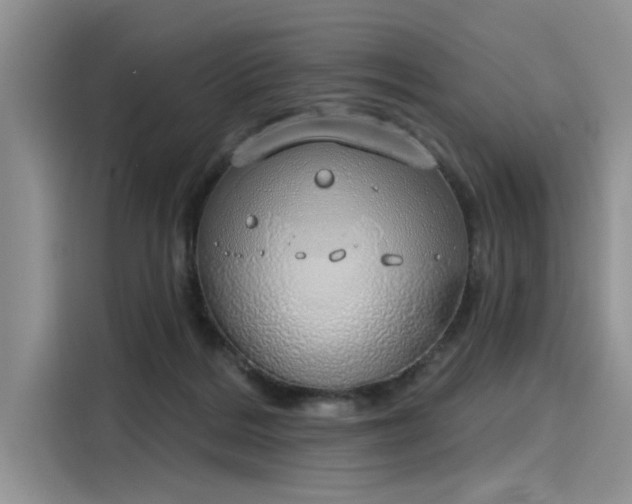 X0000116110220200911301129