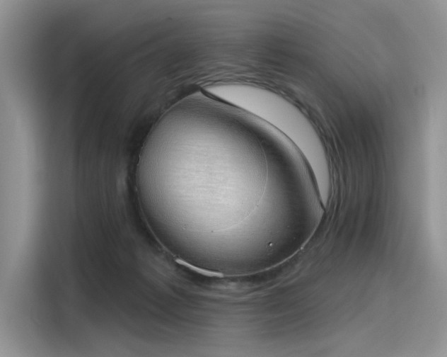 X0000116110221200911301129