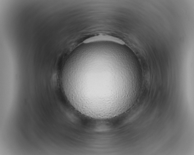 X0000116110222200911301129