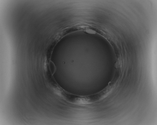 X0000116110223200911301129