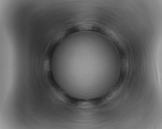 X0000116110224200911301129