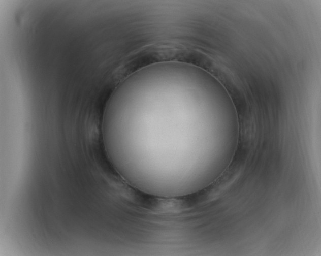 X0000116110226200911301129