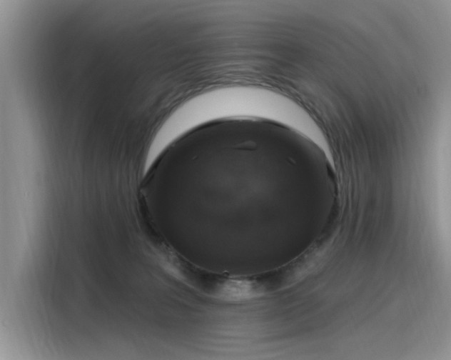 X0000116110227200911301129