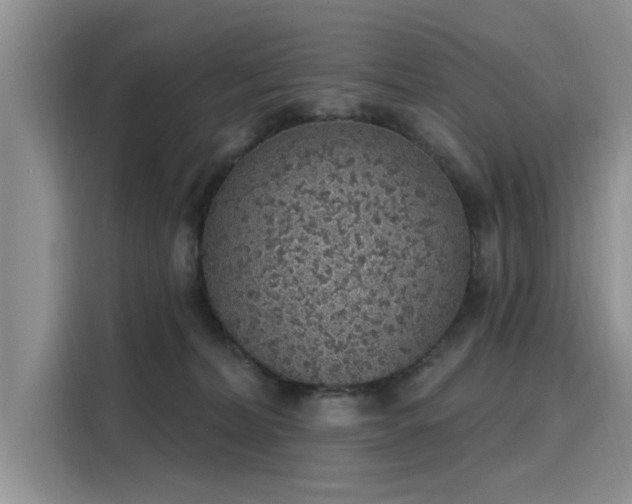 X0000116110228200911301129