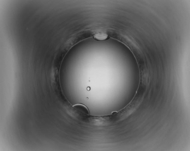 X0000116110229200911301129