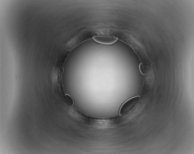 X0000116110233200911301129