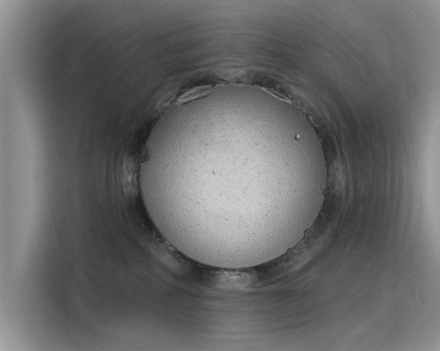 X0000116110234200911301129