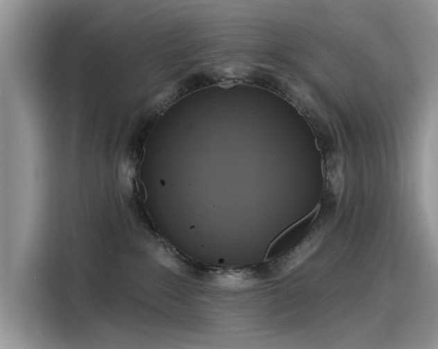 X0000116110235200911301129