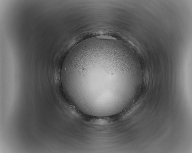 X0000116110236200911301129