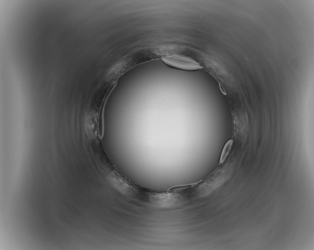 X0000116110237200911301129