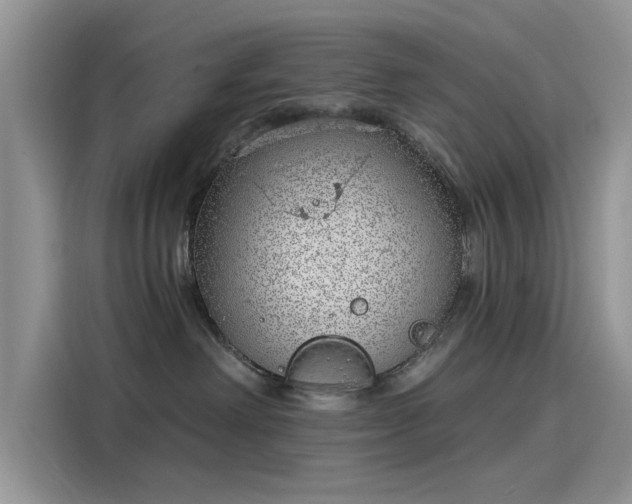 X0000116110238200911301129