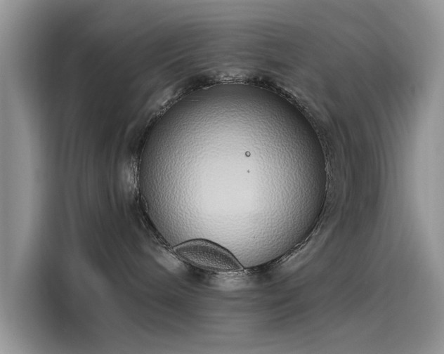 X0000116110240200911301129