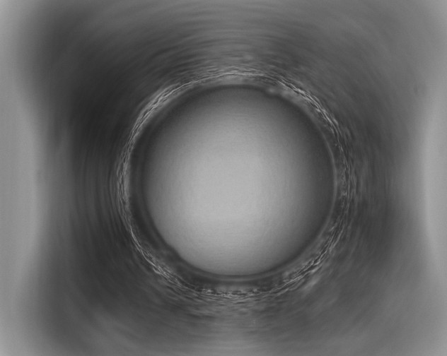 X0000116110242200911301128