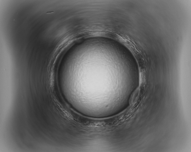 X0000116110243200911301128