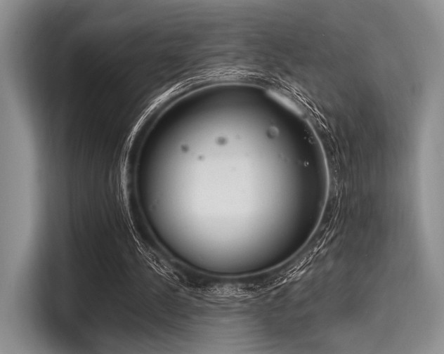 X0000116110244200911301128