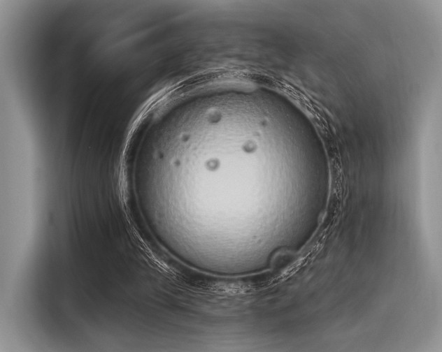 X0000116110245200911301128