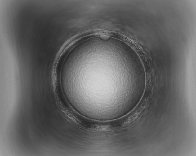 X0000116110247200911301128