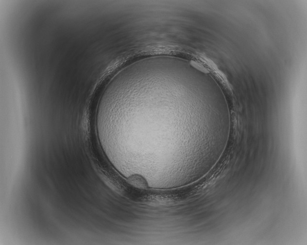 X0000116110250200911301128