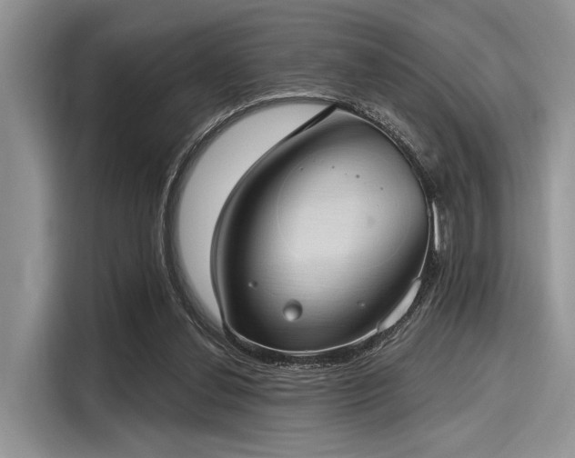 X0000116110252200911301128