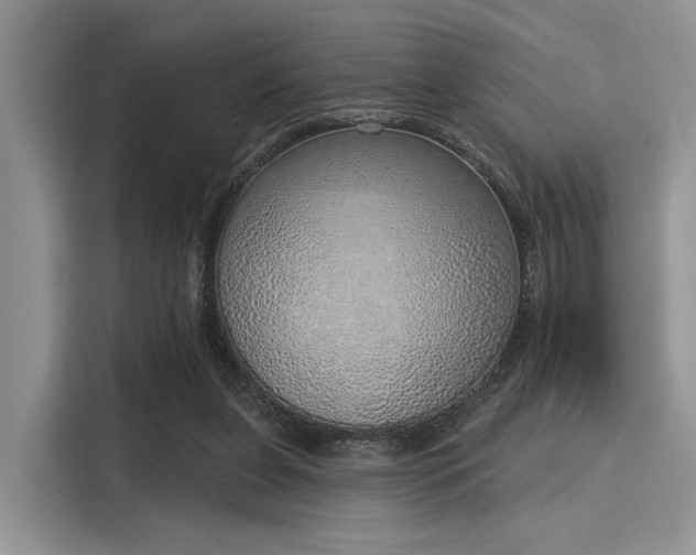 X0000116110255200911301128