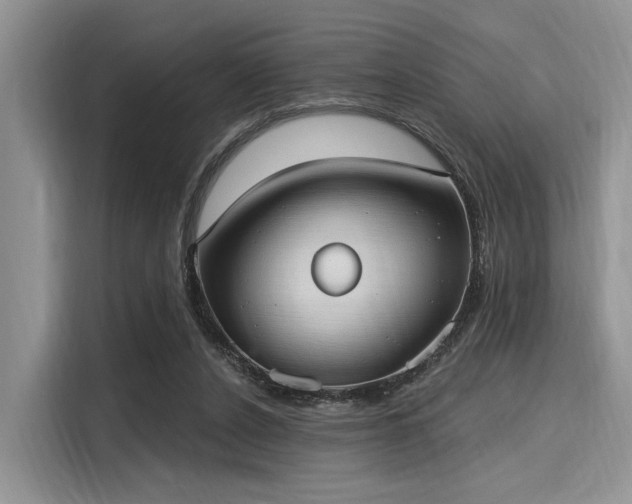 X0000116110256200911301129