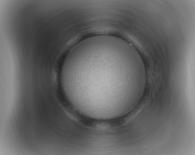 X0000116110258200911301129