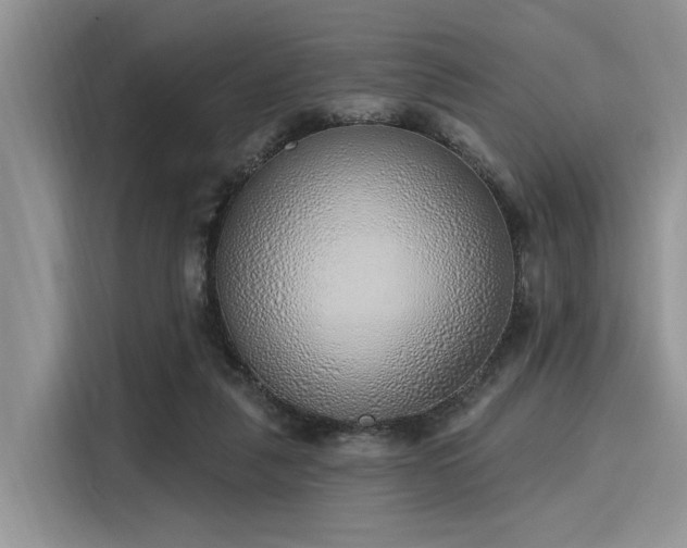 X0000116110259200911301129