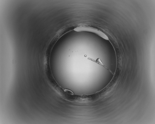 X0000116110260200911301129