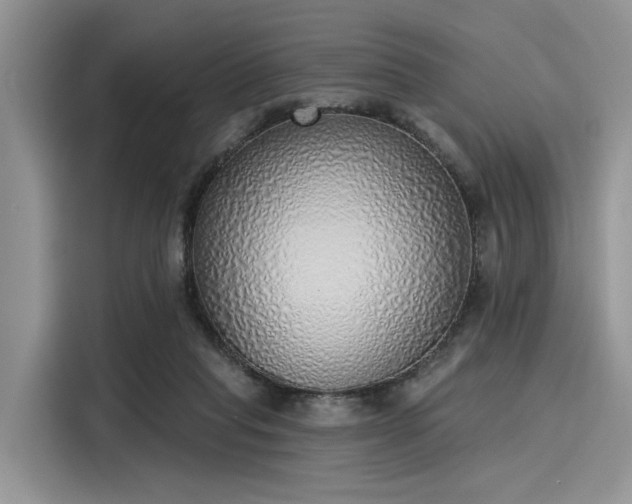 X0000116110261200911301129