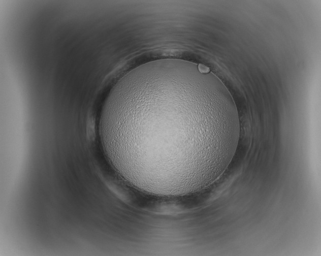 X0000116110262200911301129