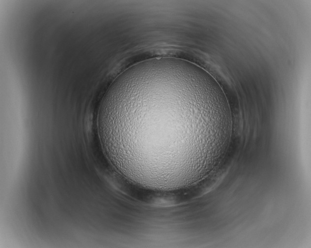 X0000116110263200911301129