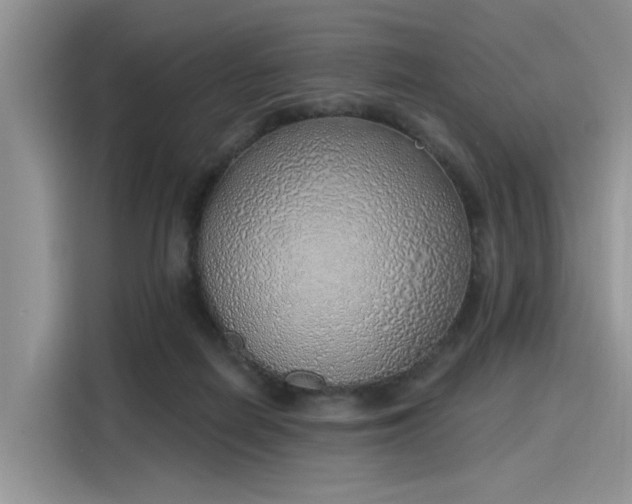 X0000116110266200911301129